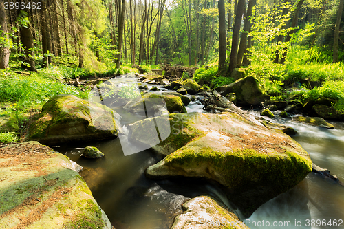 Image of small wild river in Bohemian forest 