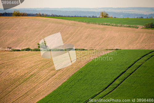 Image of Beautiful summer rural landscape