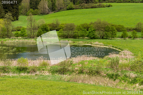 Image of Beautiful summer rural landscape