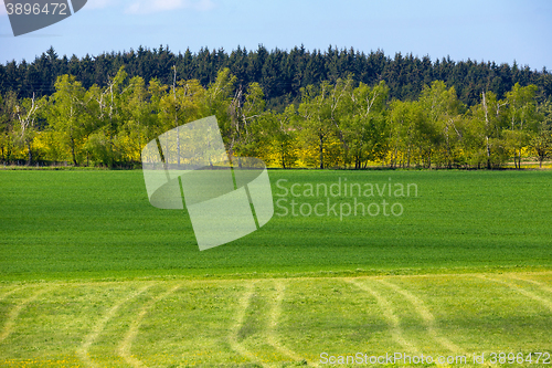 Image of Beautiful summer rural landscape