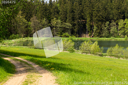 Image of Beautiful summer rural landscape