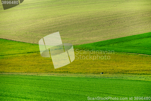 Image of Beautiful green spring rural landscape