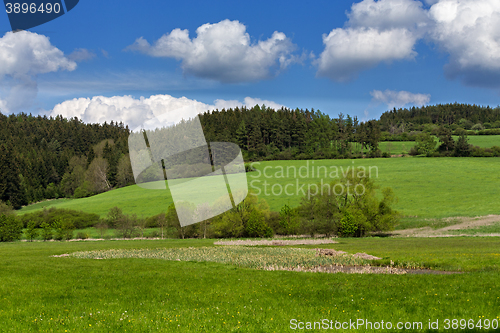 Image of Beautiful summer rural landscape