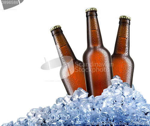 Image of Beer in ice