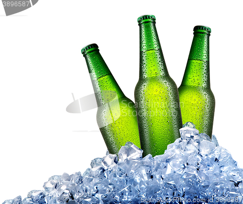 Image of Green bottles in ice