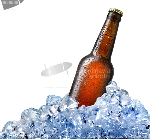 Image of Bottle of beer in ice