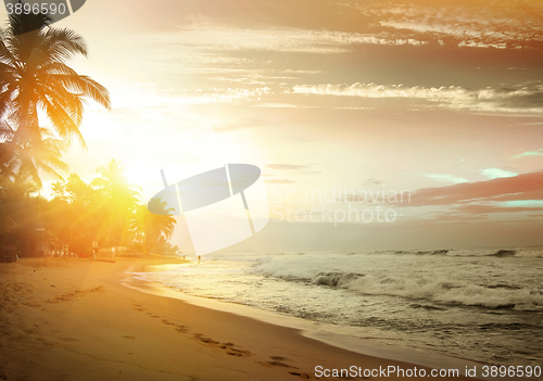 Image of Pink sunset over ocean