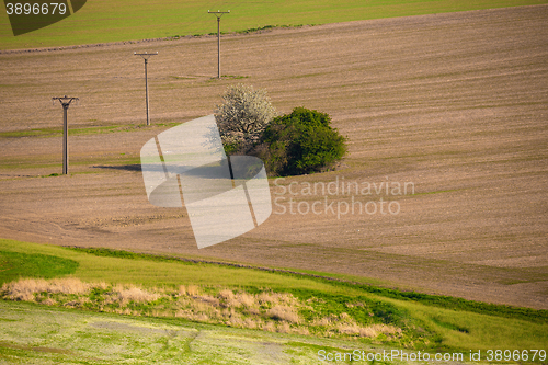 Image of Beautiful summer rural landscape