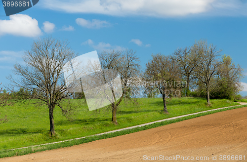 Image of Beautiful summer rural landscape