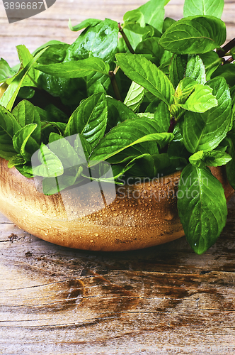 Image of Fragrant mint leaves