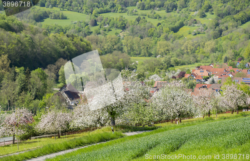 Image of Kocherstetten in Hohenlohe