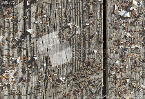 Image of wood with staples and pins