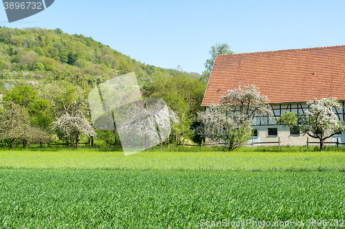 Image of Baechlingen in Hohenlohe