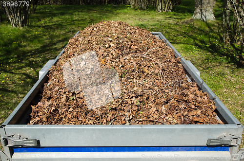 Image of Dry leaves loaded in a small trailer