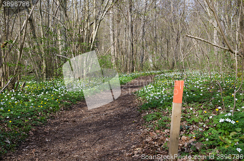 Image of Marker by a footpath