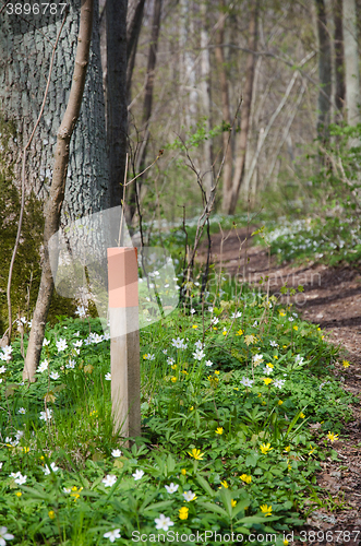 Image of Signpost by a trail