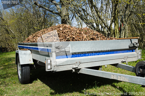 Image of Small trailer loaded with dry leaves
