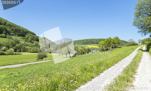 Image of field path at spring time