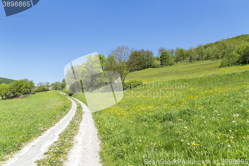 Image of field path at spring time