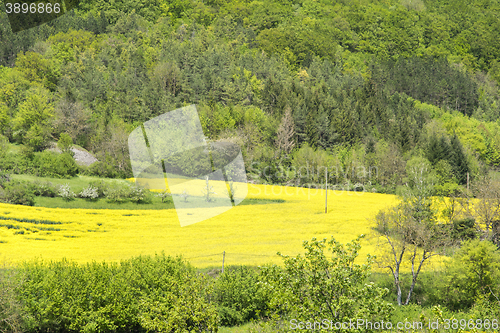 Image of rural springtime scenery