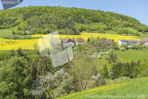 Image of rural springtime scenery