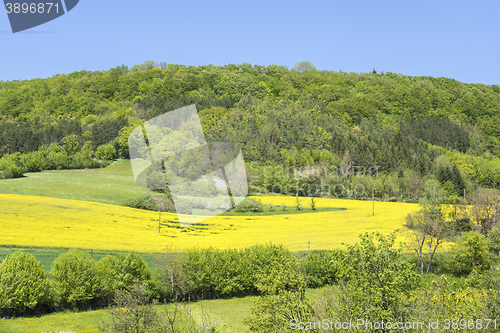 Image of rural springtime scenery