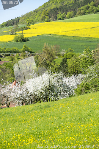 Image of rural springtime scenery