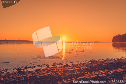 Image of Lake sunrise with ducks