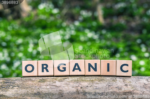 Image of Organic sign in a green forest