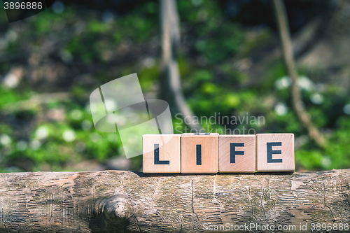 Image of Nature lige sign in a forest