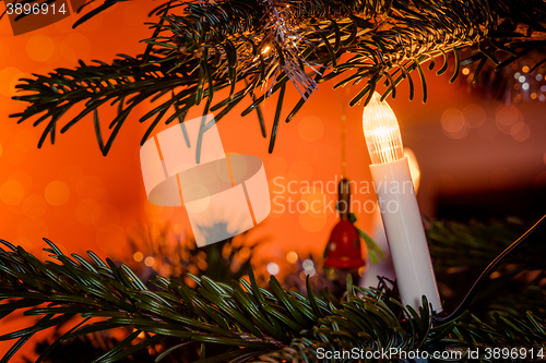 Image of Christmas lights on a tree