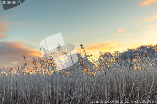 Image of Sunrise on a cold morning