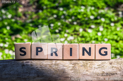 Image of Wooden spring sign in a green forest