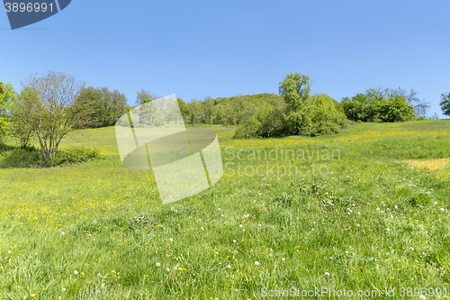 Image of rural springtime scenery