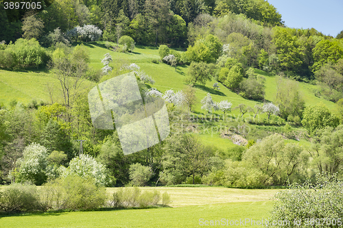 Image of rural springtime scenery