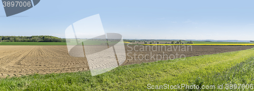 Image of rural springtime scenery