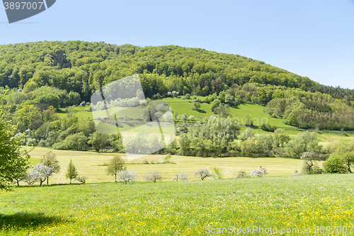 Image of rural springtime scenery