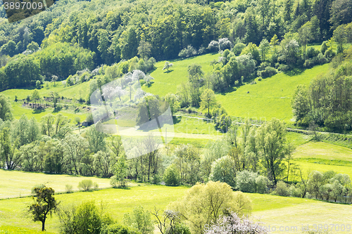 Image of rural springtime scenery