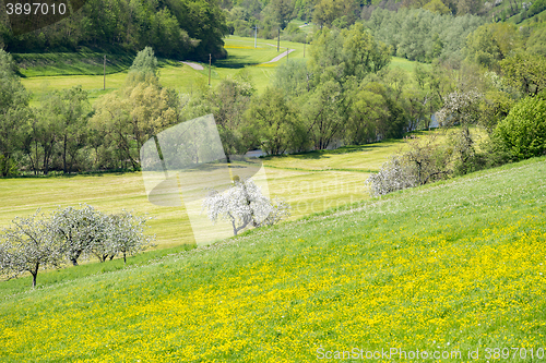 Image of rural springtime scenery