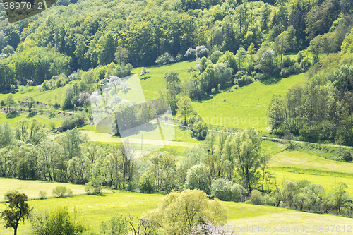 Image of rural springtime scenery