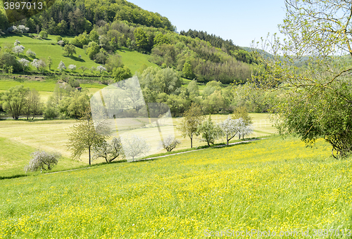 Image of rural springtime scenery