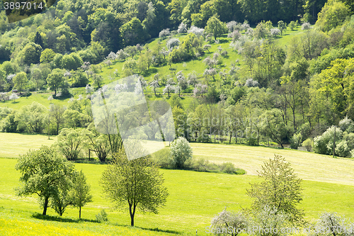 Image of rural springtime scenery