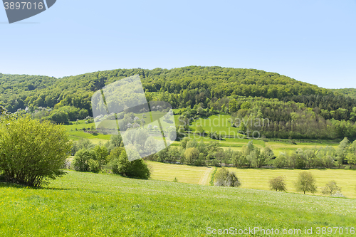 Image of rural springtime scenery