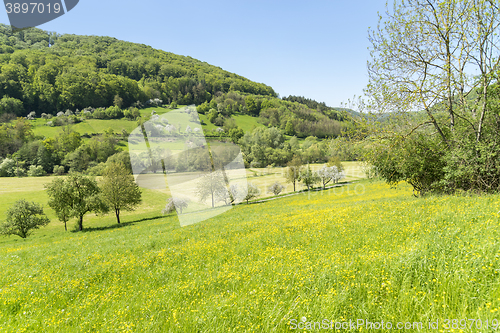 Image of rural springtime scenery