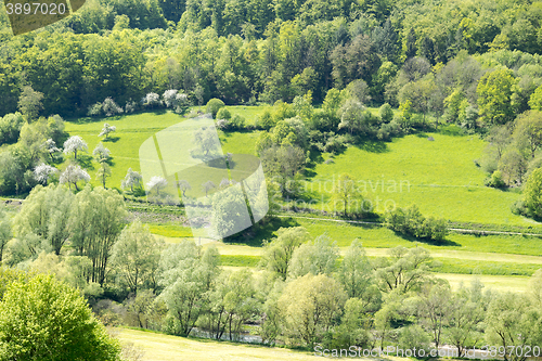 Image of rural springtime scenery