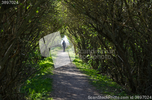 Image of Walking in a narrow alley