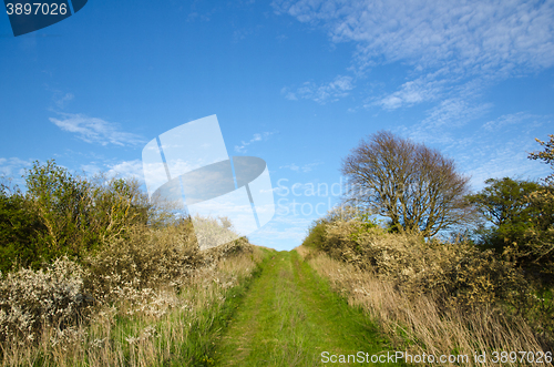 Image of Green footpath upwards a hill