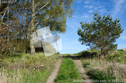 Image of Tracks leads upwards a hill