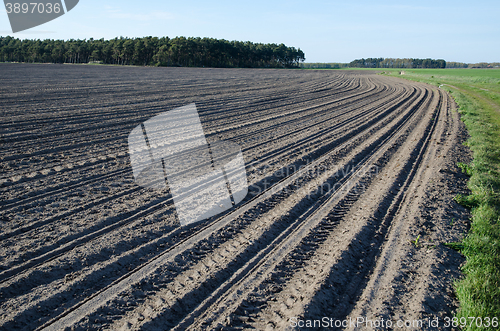 Image of Newly sowed corn field