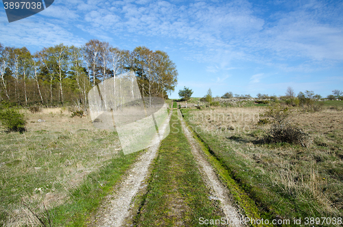 Image of Sunlit rural tracks